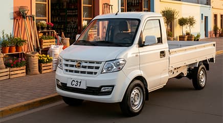 C31