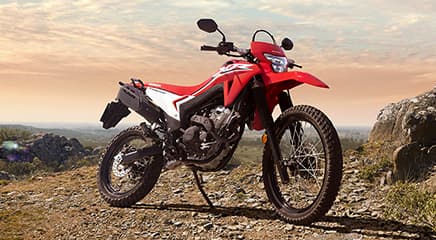 XR 300L